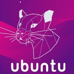 Ubuntu 20.04 64-bit